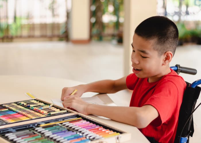 ndis classes and programs